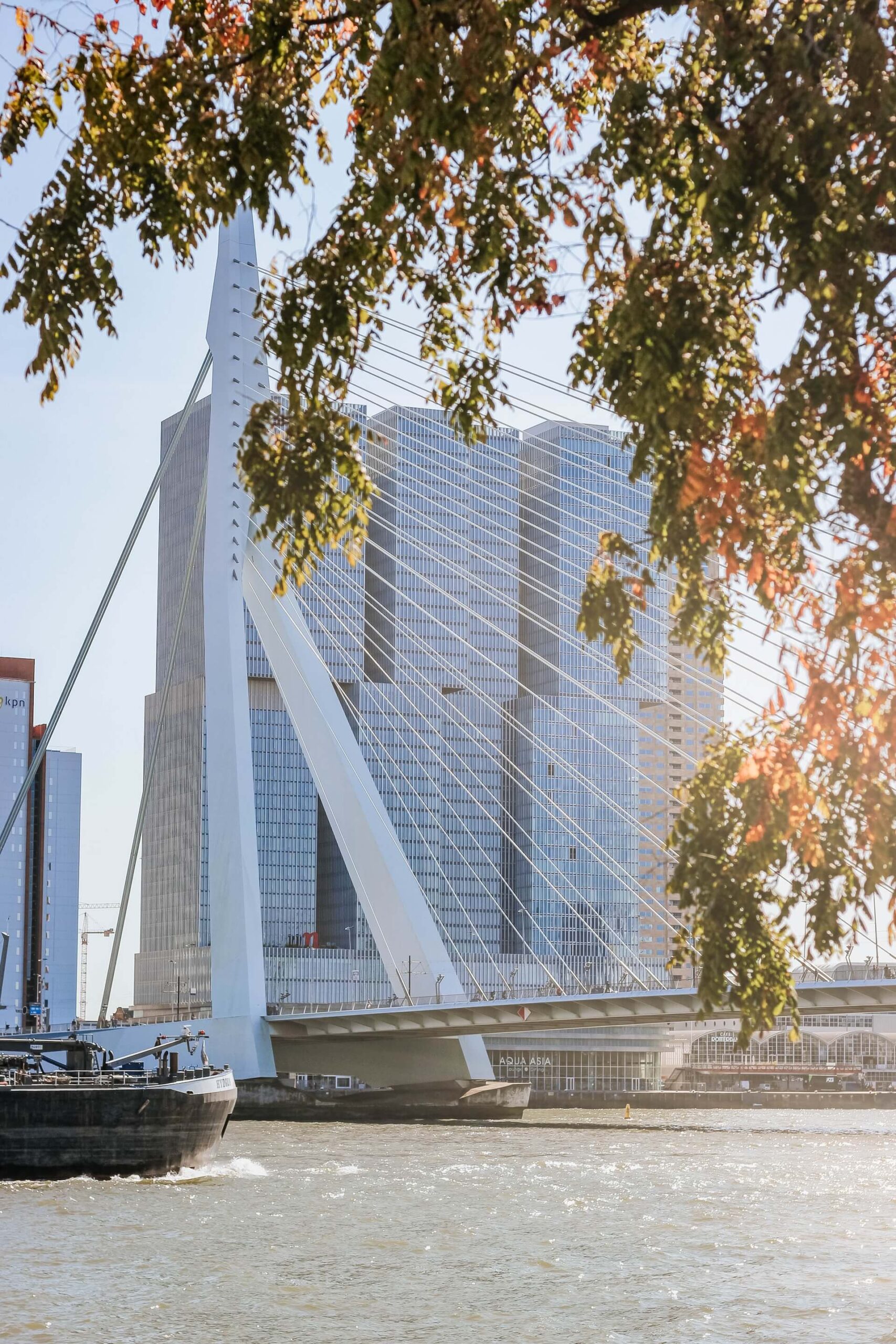 insiders guide rotterdam for a day trip to rotterdam